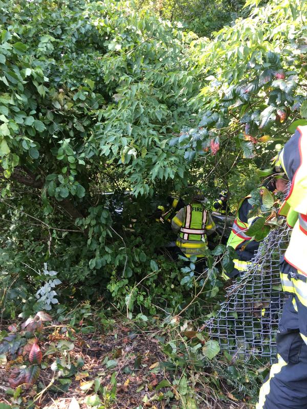 MVA in Woods on Route 146